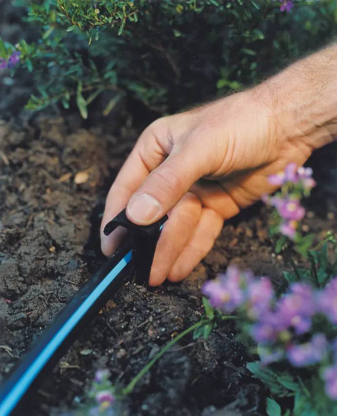 lap que cam tren mat dat