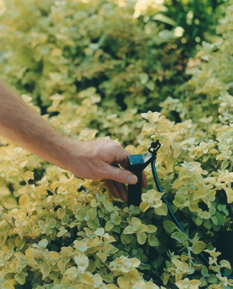 vi tri bec phun nho giot