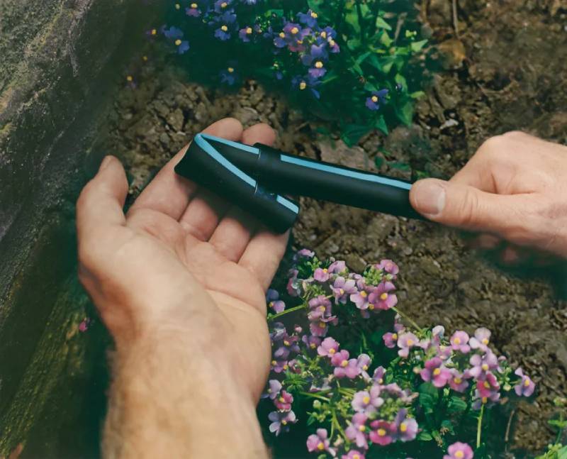 dong phan cuoi cua ong