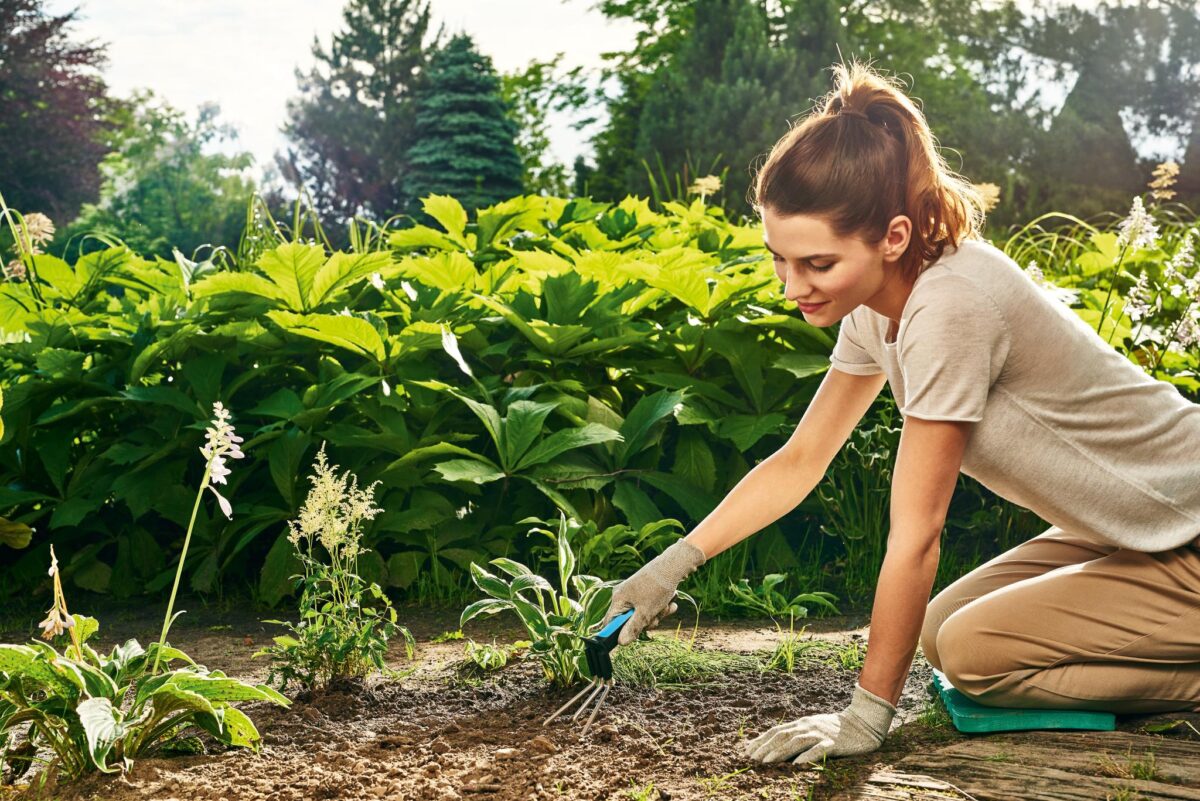 Cào Làm Vườn Cellfast Ergo